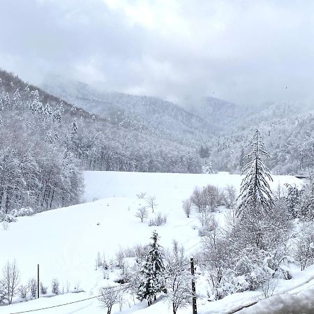 Nature View Apartment Brasov Bagian luar foto