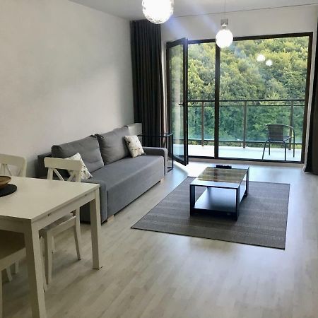 Nature View Apartment Brasov Bagian luar foto