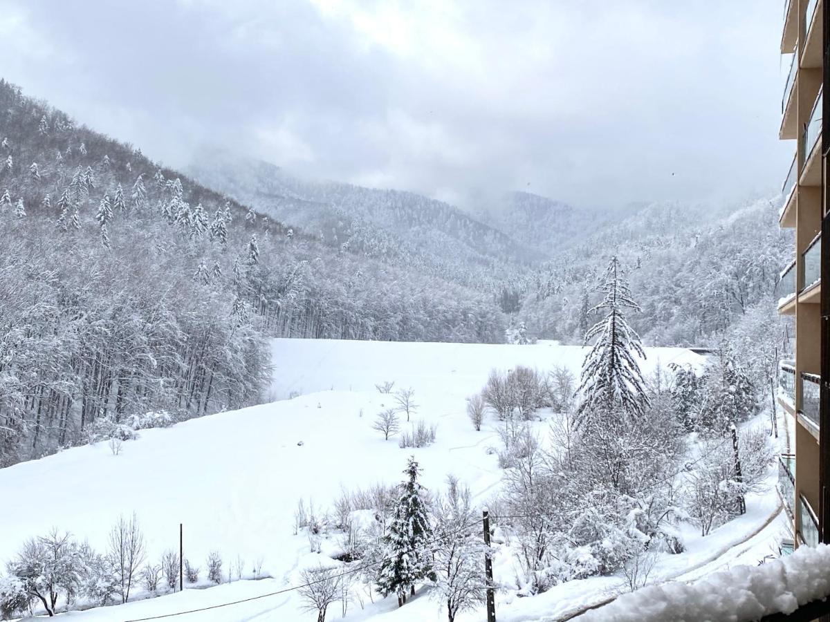 Nature View Apartment Brasov Bagian luar foto