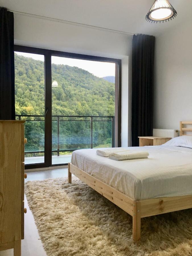Nature View Apartment Brasov Bagian luar foto