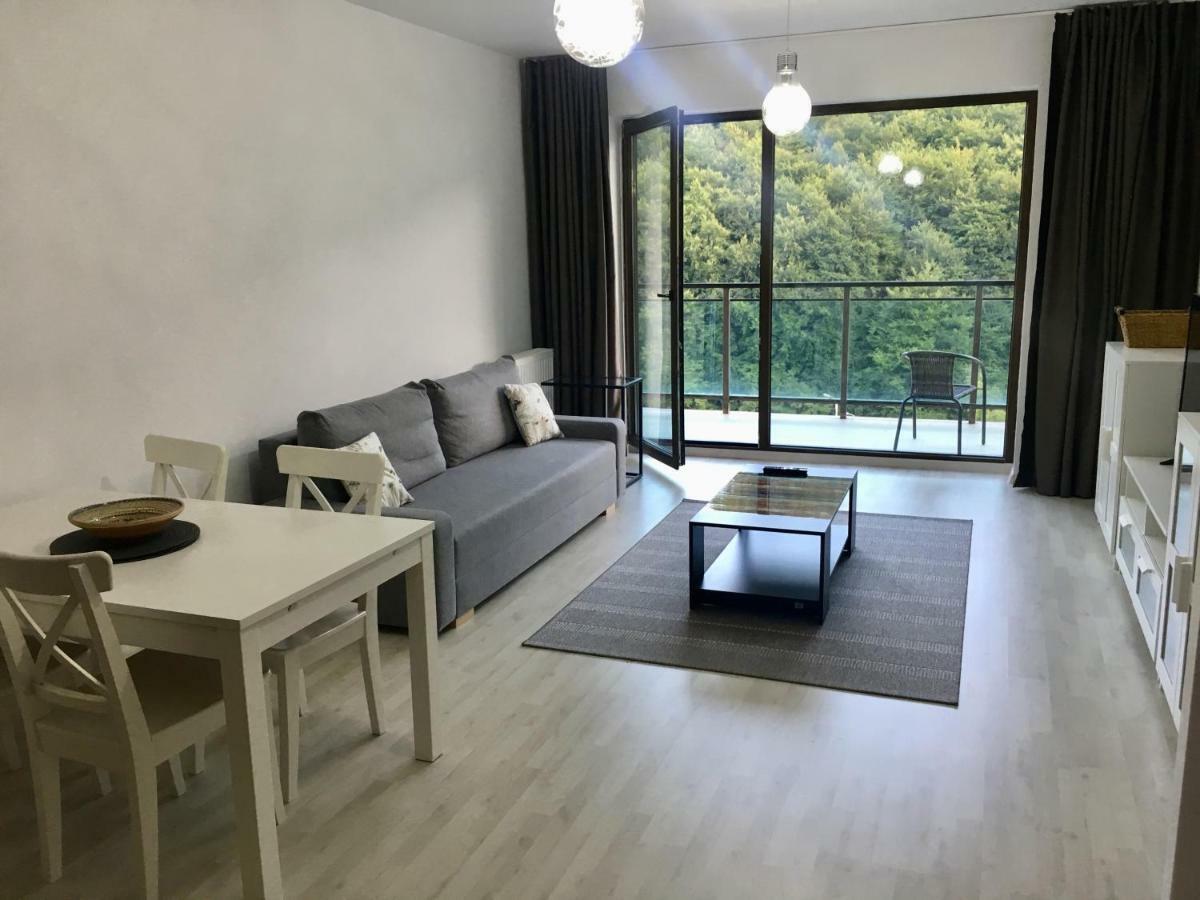 Nature View Apartment Brasov Bagian luar foto