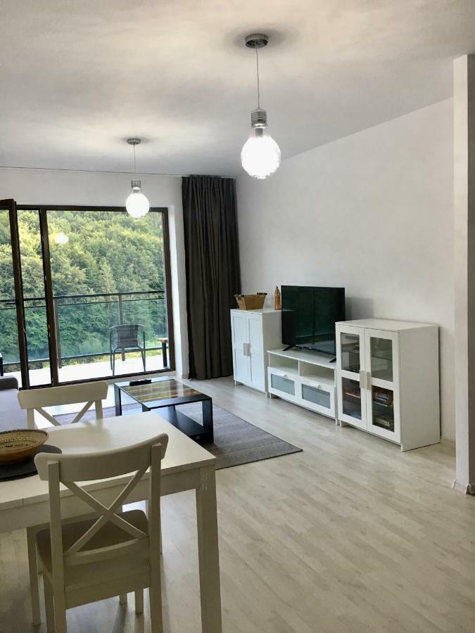 Nature View Apartment Brasov Bagian luar foto