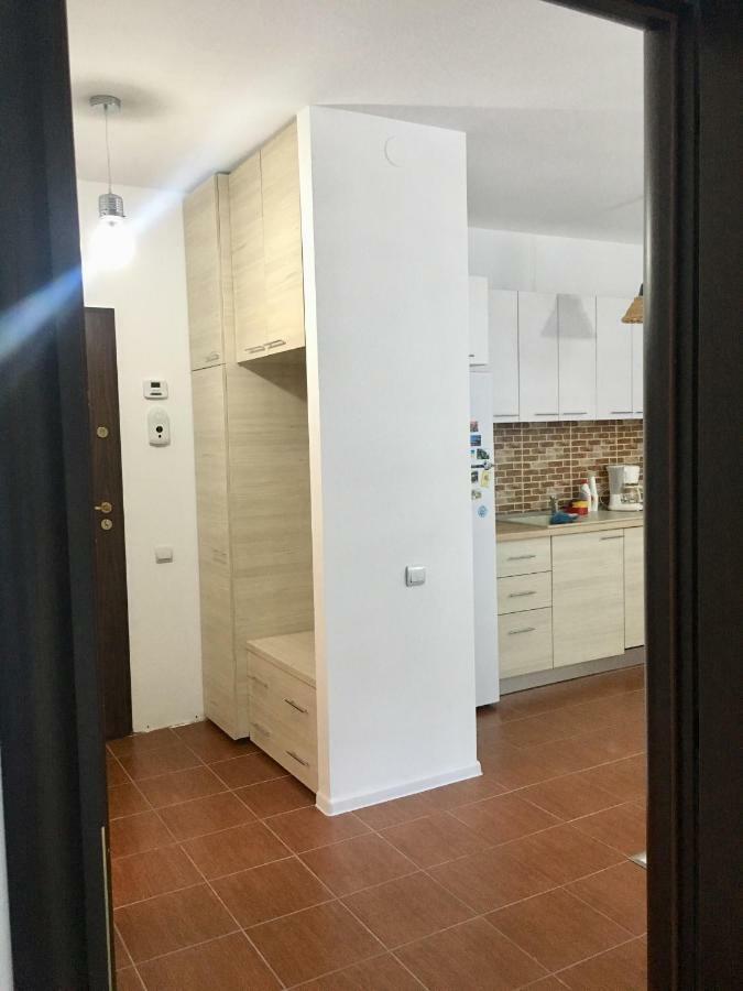 Nature View Apartment Brasov Bagian luar foto